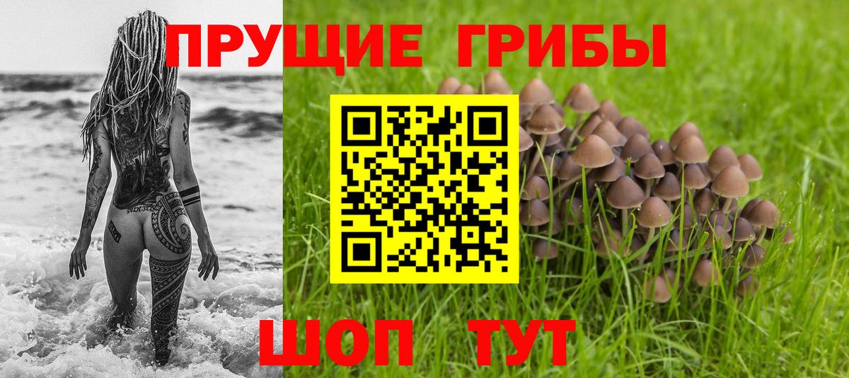 Мелеуз  Галлюциногенные грибы GOLDEN TEACHER  Галлюциногенные грибы MAGIC MUSHROOMS  Вход с VPN 