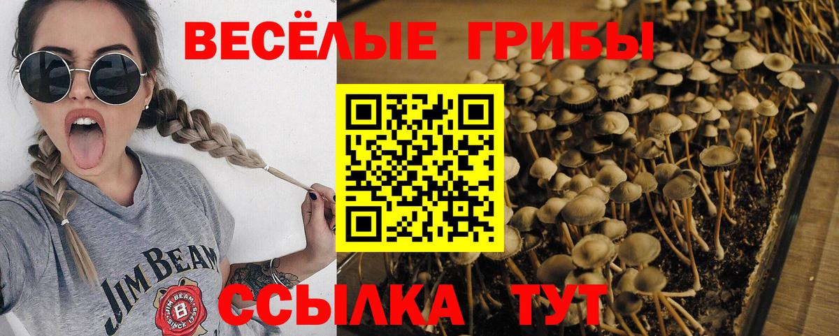 Галлюциногенные грибы GOLDEN TEACHER Мелеуз